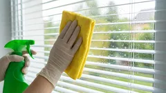 Womit man die Scheiben einreiben kann, damit man sie nicht nach jedem Regen putzen muss: eine Methode mit Haushaltsmitteln