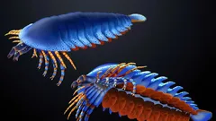 Ein im Bundesstaat Utah gefundener Fossil verschiebt das Auftreten von Cheliceren – den für Spinnen und Skorpione typischen Fangzähnen – um 20 Millionen Jahre zurück.