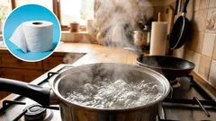 Ich habe das Toilettenpapier mit kochendem Wasser übergossen und damit ein Problem gelöst, das die meisten Familien haben.