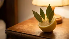 Stell eine Zitrone mit Lorbeerblättern in dein Zimmer. Am nächsten Morgen wirst du dir selbst dafür dankbar sein.