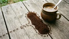 Hält Kaffeesatz Ameisen tatsächlich von Ihrer Veranda fern?