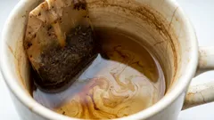 Warum man Geschirr mit Teebeuteln einweichen sollte: Ein Trick von erfahrenen Hausfrauen